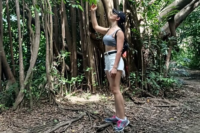 The Original Bicycle Tour in the Green Jungle of Bangkok - Getting to the meeting point near Khlong Toei without a hotel pickup