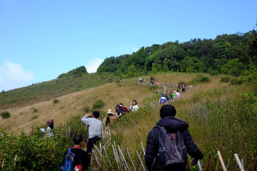 Tour with Hike in Kiew Mae Pan Natural Trail from Chiang Mai - Key things to know before you go