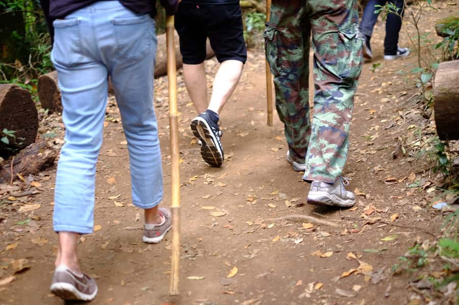 Tour with Hike in Kiew Mae Pan Natural Trail from Chiang Mai - Entering Inthanon National Park from Chiang Mai