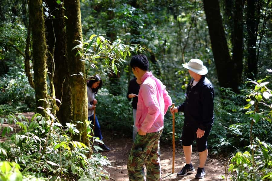 Tour with Hike in Kiew Mae Pan Natural Trail from Chiang Mai - Lunch at the Royal Project: what you eat and why it matters