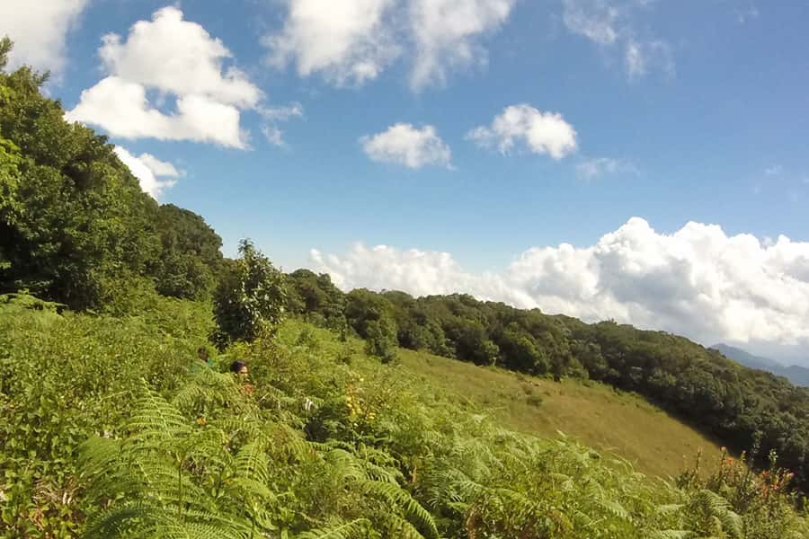 Tour with Hike in Kiew Mae Pan Natural Trail from Chiang Mai - Ang Ka Nature Trail near the highest areas