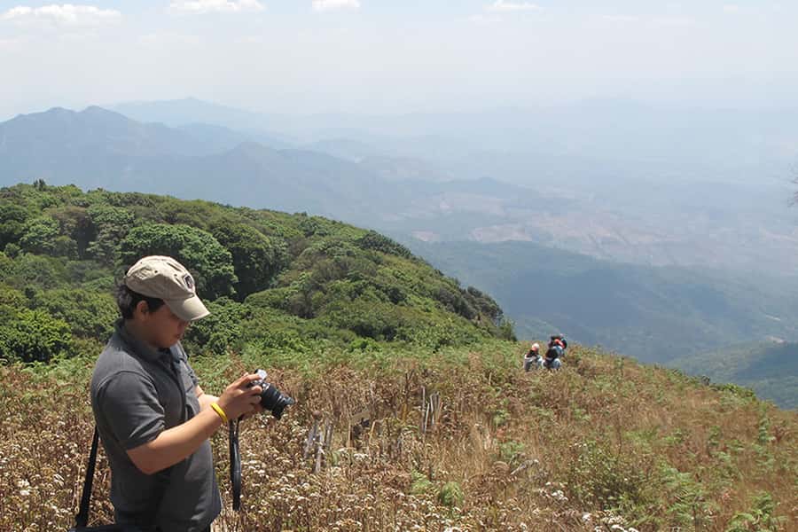 Tour with Hike in Kiew Mae Pan Natural Trail from Chiang Mai - Two Royal Stupas: calm stops with a clear purpose