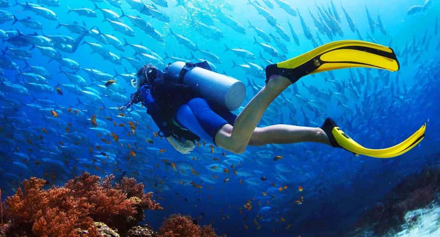 Try Scuba Diving in Racha Yai/noi: 2 Dives for Non-Certified - Racha Yai and Racha Noi: a smart Phuket choice for first-timers