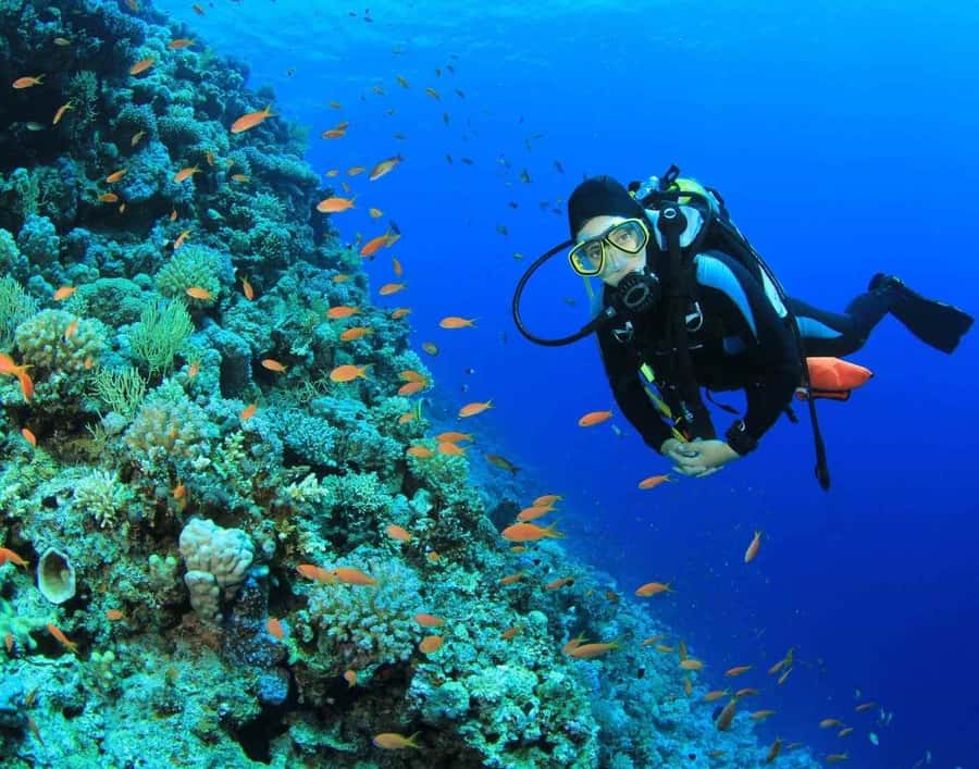 Try Scuba Diving in Racha Yai/noi: 2 Dives for Non-Certified - Pickup to island time: what the 10-hour schedule feels like