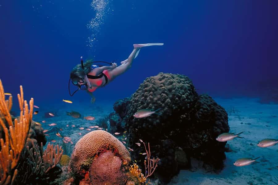 Try Scuba Diving in Racha Yai/noi: 2 Dives for Non-Certified - The two underwater sessions: timing, depth, and instructor attention