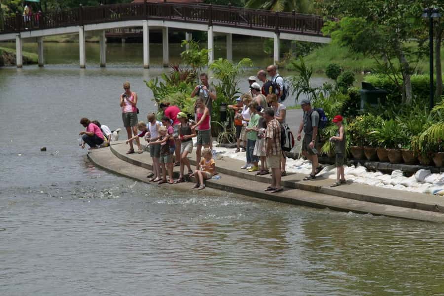 Tuk-Tuk, Longtail-boat and Rickshaw Bangkok jungle Tour - What to wear and how to enjoy the route with less stress