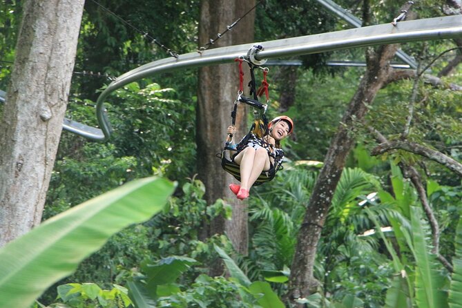 World B+ (Zipline 18 Platforms + Roller + Sky Walk with World Set Menu ) - Sky bridges and sky walk: treetops with story and a meal