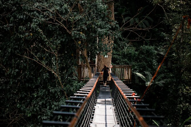 World B+ (Zipline 18 Platforms + Roller + Sky Walk with World Set Menu ) - Transfers and meeting point: reducing stress in Phuket